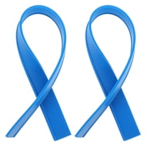 BESTYASH 2Pcs Blue Flexible Rubber Replacement Squeegee Strips for Home Cleaning Glass Shower Doors and Windows