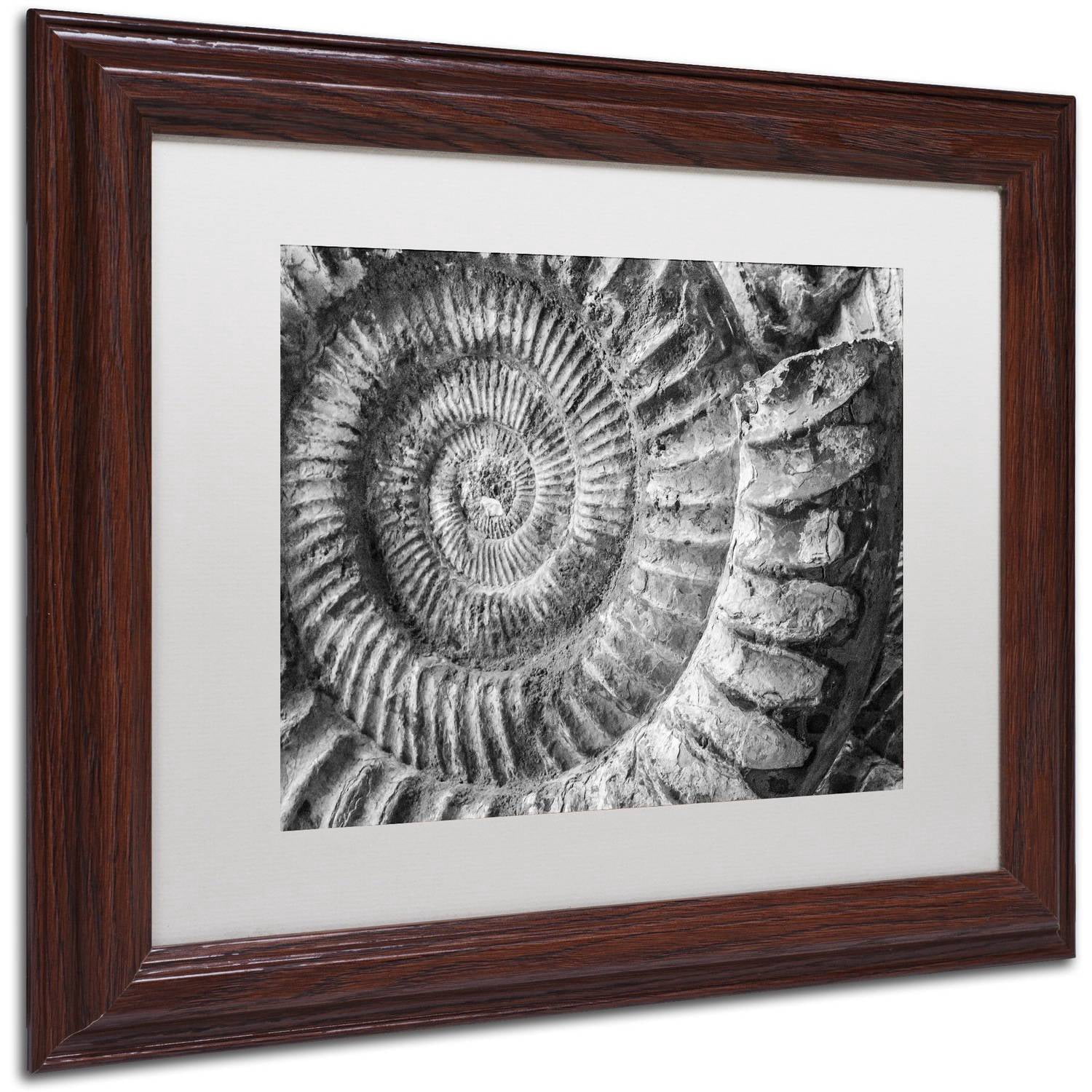 Trademark Fine Art "Amonita 1" Canvas Art by Moises Levy White Matte, Wood Frame