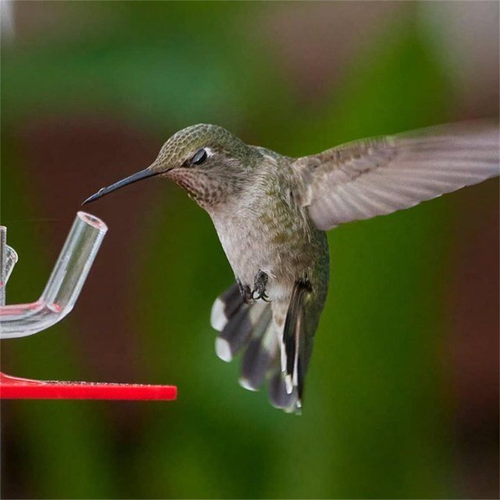 EUDIDV Suet Bird Feeder Cane Flexi Balls Fruit Cage Connectors Netting Plant Support Garden Avian Feast Station