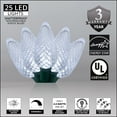 thumbnail image 2 of Wintergreen Lighting White LED String Lights Holiday Lightings, 17' (25 Count), 2 of 7