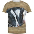 thumbnail image 1 of Queens of the Dairy Farm Cows All Over Mens T Shirt Multi SM, 1 of 2