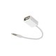 thumbnail image 5 of Cable Adaptador De Coche De 3,5 Mm A Usb2.0 2 En 1 Adaptador De Audio Auxiliar Para Mp3/Mp4 Auriculares De Coche U Disco matsuzay EL008406-00, 5 of 6