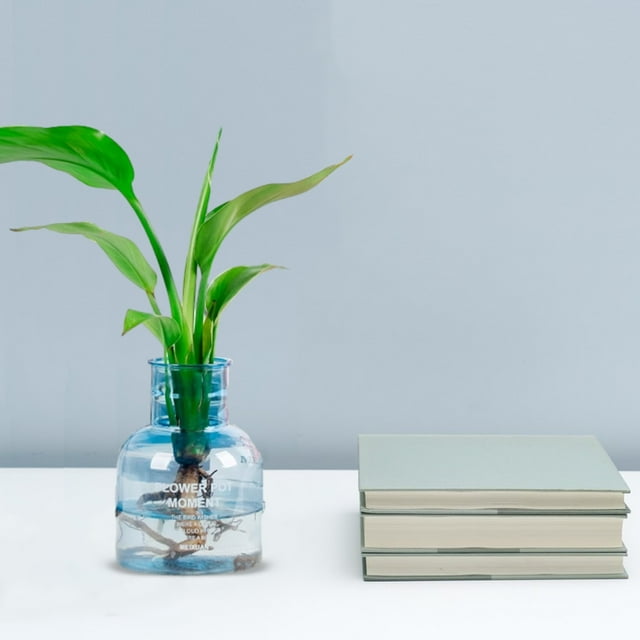 Sentmoon Transparent Hydroponic Small Potted Plant Pots, Indoor Living Room Desktop Transparent Hydroponic Plastic Flower Pots, A Must For Green Plant Lovers, Transpare