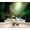 Color 2, variant on Wallpaper Tropical Waterfalls Jungle foliage dense trees Verdant Peel and Stick Wall Murals 100"H x 144"W Removable PVC Wall Paper Self-Adhesive Wall Paintings Art Decor for Bedroom Living Room