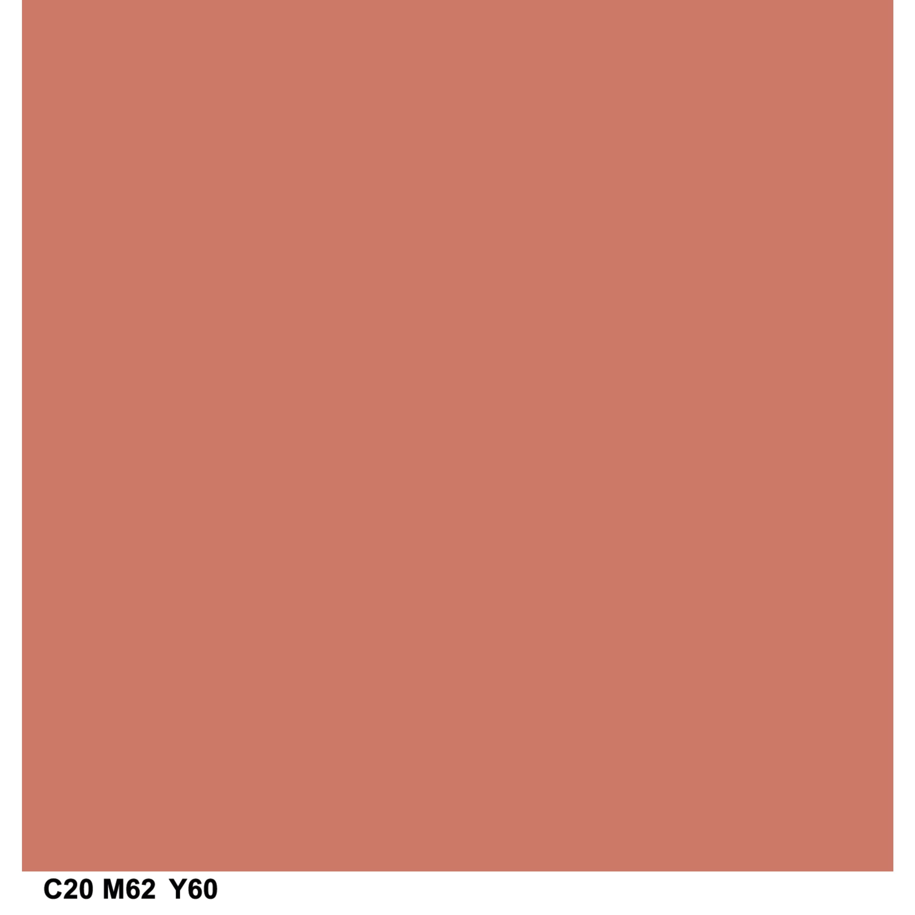910 Light Warm