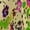 style, variant on Leopard Print Pattern Sleeveless Dress Female Clothing Dress Women Summer 2025 Dress