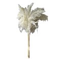 thumbnail image 2 of Fiudx Liquidación De Decoración Del Hogar Accesorios De Fotografía Para Decoración Del Hogar, Ramo De Flores Secas, Arreglo De Madera Para Sala De Estar, Estilo Bohemio Liquidación De Ofertas Flash, 2 of 6