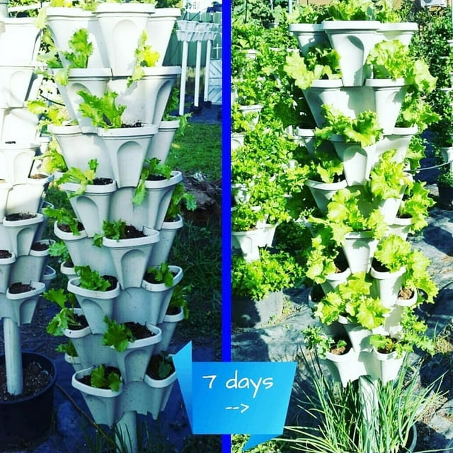 Support Vertical Empilable en Plastique pour Pot de Plante et Fleurs, Jardinière de Jardin, Déco