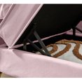 thumbnail image 6 of Miniyam Storage Chaise Lounge, Velvet Upholstered Sofa Recliner Lounge Chair with Pillow for Living Room Bedroom, Pink, 6 of 8