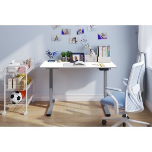 MAYEERTY Electric Standing Desk 48 x24 Dual Motor Adjustable Height Desk Grey & White