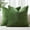 Moss Green, variant on COOKCOK Chenille Black Throw Pillow Covers 18x18 Inch Set of 2, Decorative Soft Couch Pillow Covers Solid Dyed Accent Farmhouse Neutral Square Pillow Cases for Sofa Bed Living Room, Grey