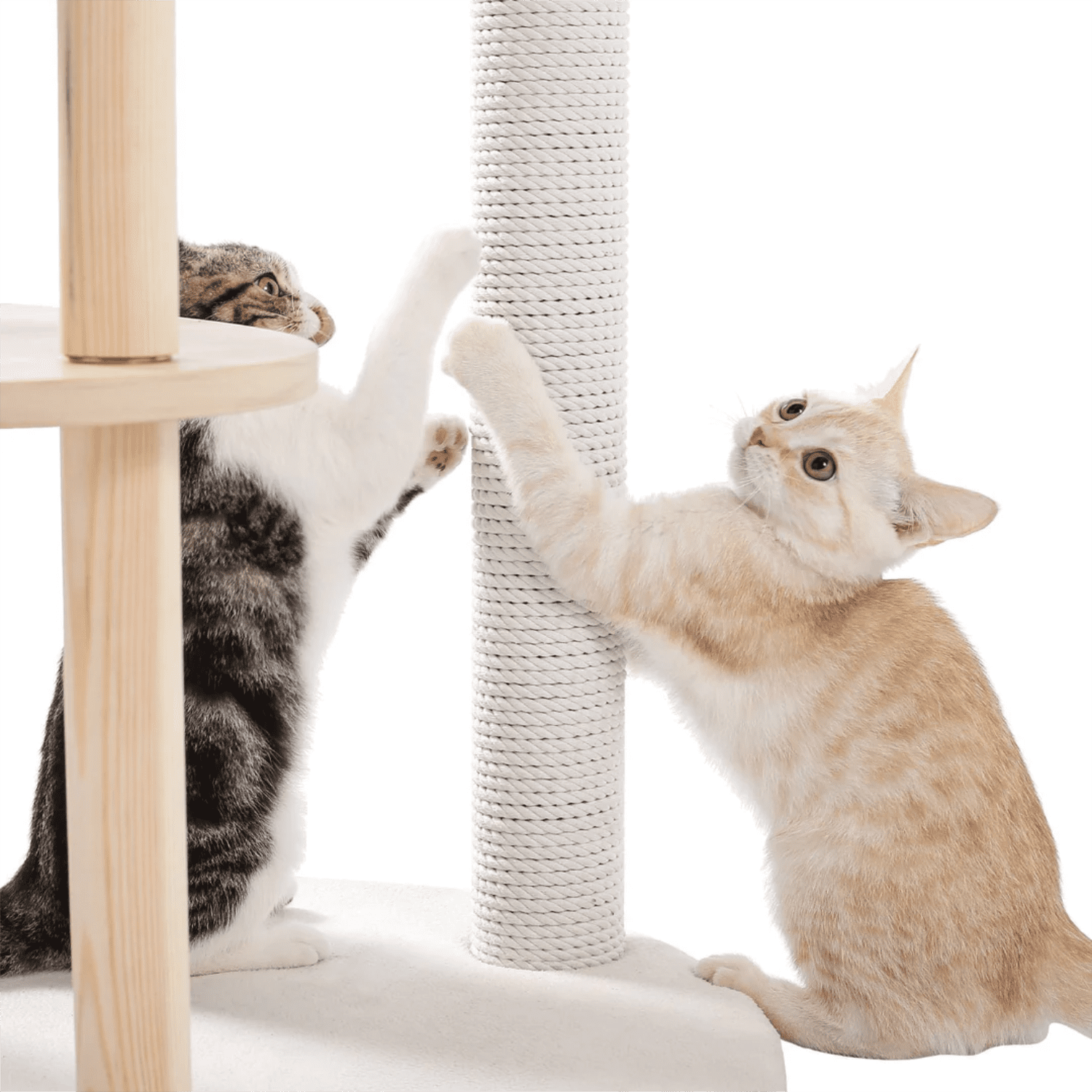 Pefilos 49" Cat Tree Tower for Indoor Cats Multi-Level Cat Tree Modern Cat Tower Wooden Activity Center with Scratching Posts, Beige