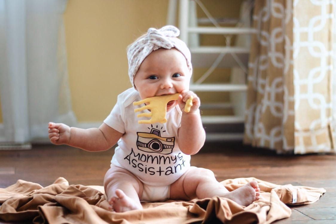 L'édition animale de Chewbox