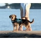 thumbnail image 5 of Arnés para perros de servicio Arnés para perros sin tirones Chaleco reflectante ajustable con manija de entrenamiento para perros grandes Adepaton WMCH-211, 5 of 7