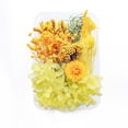 thumbnail image 1 of Injueey Plantas de flores secas Fabricación en seco para la caja del teléfono móvil Artesanías de velas Adornos de boda hechos a mano Joyería Artesanía tipo7 Injueey HA084403-07, 1 of 6
