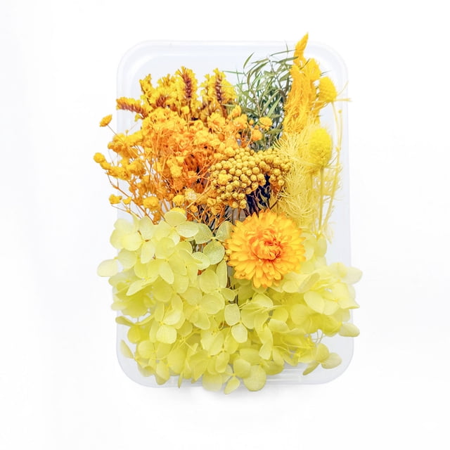 Injueey Plantas de flores secas Fabricación en seco para la caja del teléfono móvil Artesanías de velas Adornos de boda hechos a mano Joyería Artesanía tipo7 Injueey HA084403-07