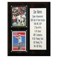 thumbnail image 4 of Troy Polamalu Pittsburgh Steelers 8'' x 10'' Plaque, 4 of 10