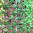 thumbnail image 2 of Langgg Clôture de Jardin Rétractable Écran de Confidentialité Extérieur Feuilles de Raisin, 2 of 9