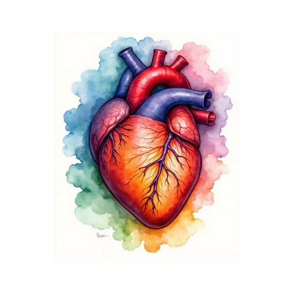 Paint By Numbers Kit for Adults Beginner - DIY Heart Anatomy Watercolor Art Canvas Painting Kits for Adults, Frameless Paint By Number for Adults for Home Wall Decor 16x20 Inch