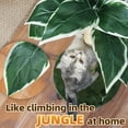 thumbnail image 6 of Fantasreen Sisal Cat Scratching Post 35'', Tall Cat Scratcher with Toy, Track Ball with Self Groomer, Green, Large, 6 of 8