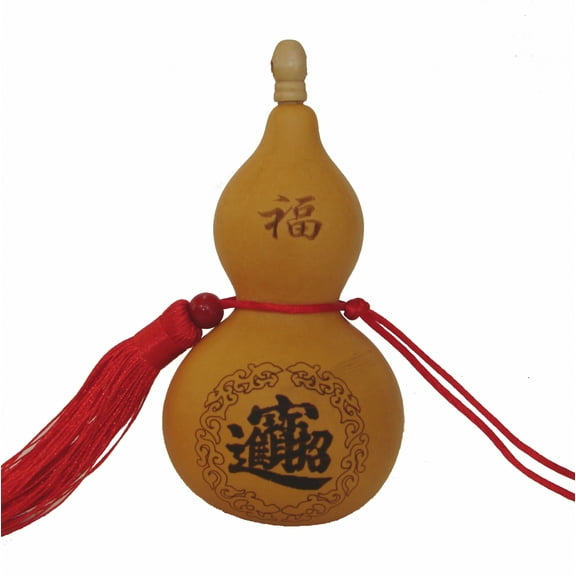 Feng Shui Wu Lou Charm with coin