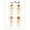 Framed, variant on My Body Poster - Anatomy for Kids - Children's Anatomy Poster - Early Learning Resource - Human Body Illustration