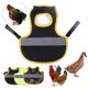 thumbnail image 5 of Chaleco reflectante de pollo, chaleco para mascotas, poliéster, pollo, pato, ganso, chaleco en el pecho MFZFUKR BST3000286-2, 5 of 5