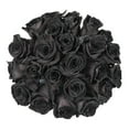 thumbnail image 2 of Tinted Black Roses 75 Stems of Farm Direct Fresh Cut Flowers by Bloomingmore, 2 of 7