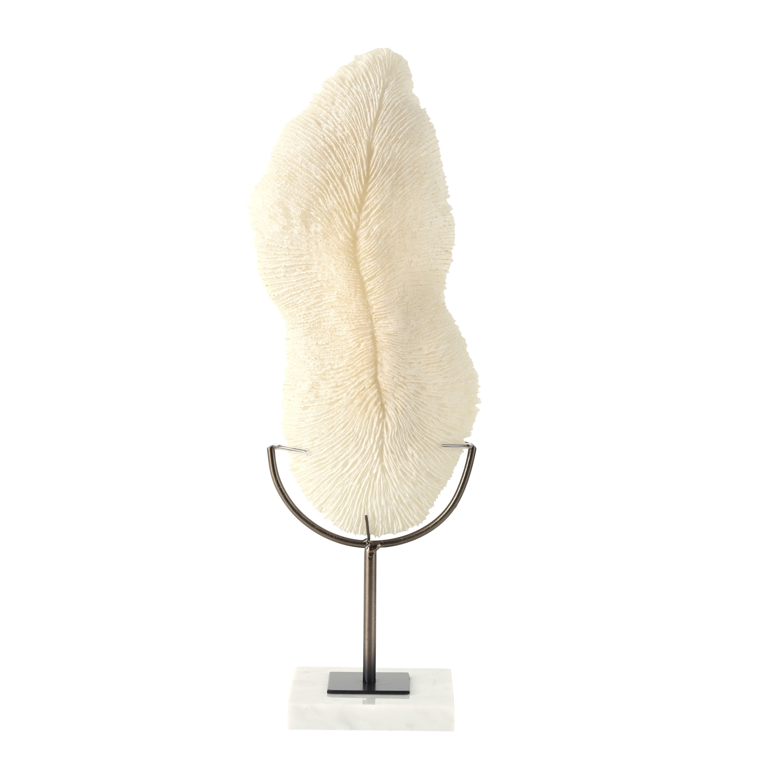 7" x 19" Cream Polystone Abstract Textured Coral Sculpture with Gray Stand and Acrylic Base, by DecMode