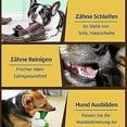 thumbnail image 4 of Cepillo de dientes para perros TANGJMXG juguete masticable de goma natural, 4 of 4