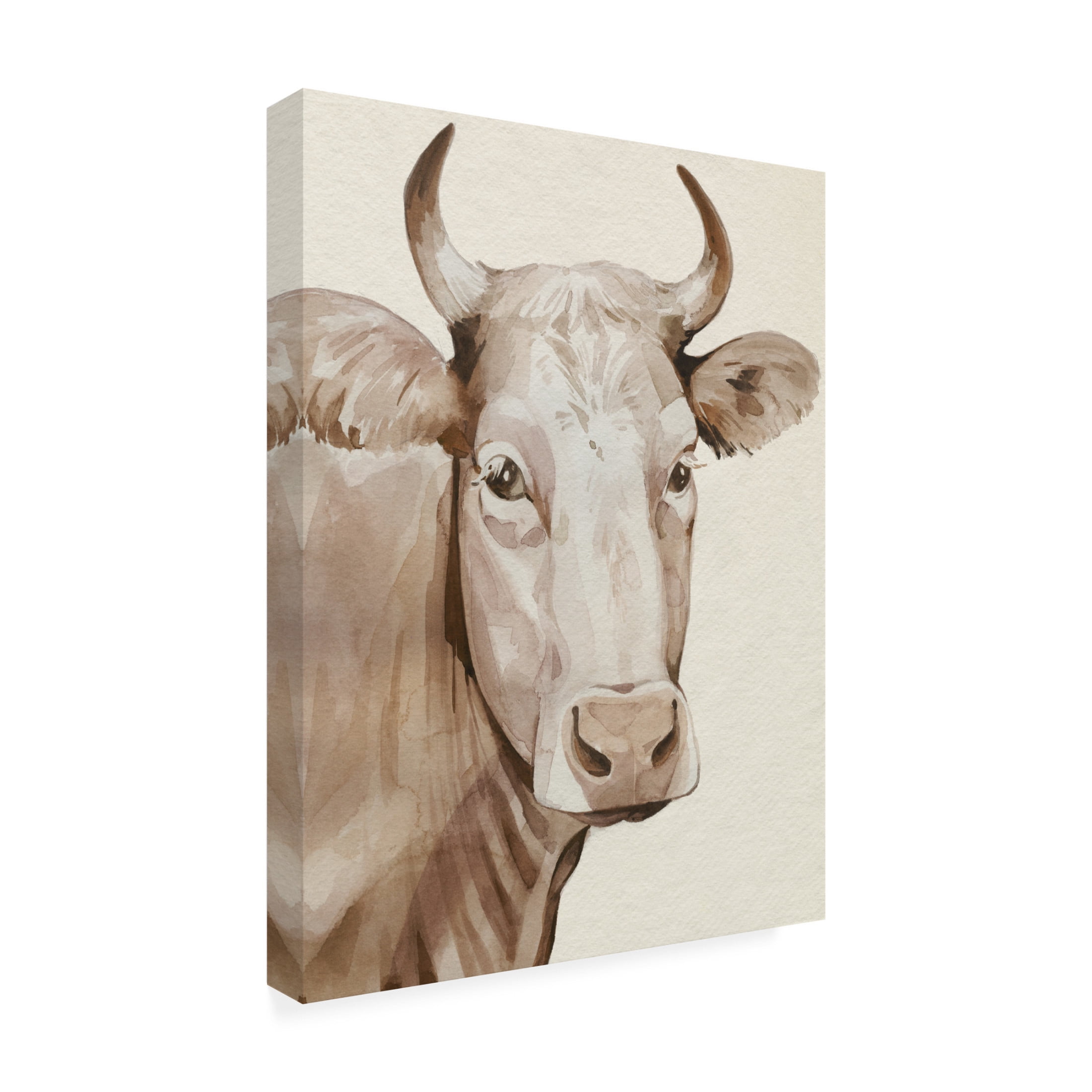 Trademark Fine Art Grace Popp Sepia Sweetie I Canvas Wall Art
