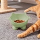 thumbnail image 5 of Ireezec Elevated Cat Food and Water Bowl, Anti-Vomit Slow Feeder, Tilted Design for Neck Support, Whisker Friendly Wide Shallow Dish, Non-Slip Ba, Large Capacity Pet Feeding Station, 5 of 6