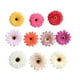 thumbnail image 1 of 10 cabezas grandes de margaritas de seda artificiales para manualidades, álbumes de recortes, bolas de flores mezclado, 1 of 8