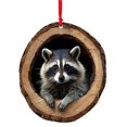 thumbnail image 2 of Yeuimy Cozy Christmas Ornaments Acrylic Cute Animal Ornaments Sleeping Raccoon Ornament flat Hanging Pendant Rustic Nature Themed Home Decor Woodland Animal Christmas Ornaments For Animal Lovers, 2 of 2