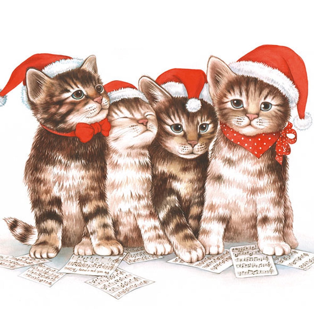 Ambiente Singing Cats Cocktail Napkins, 20 Ct by Ampelco