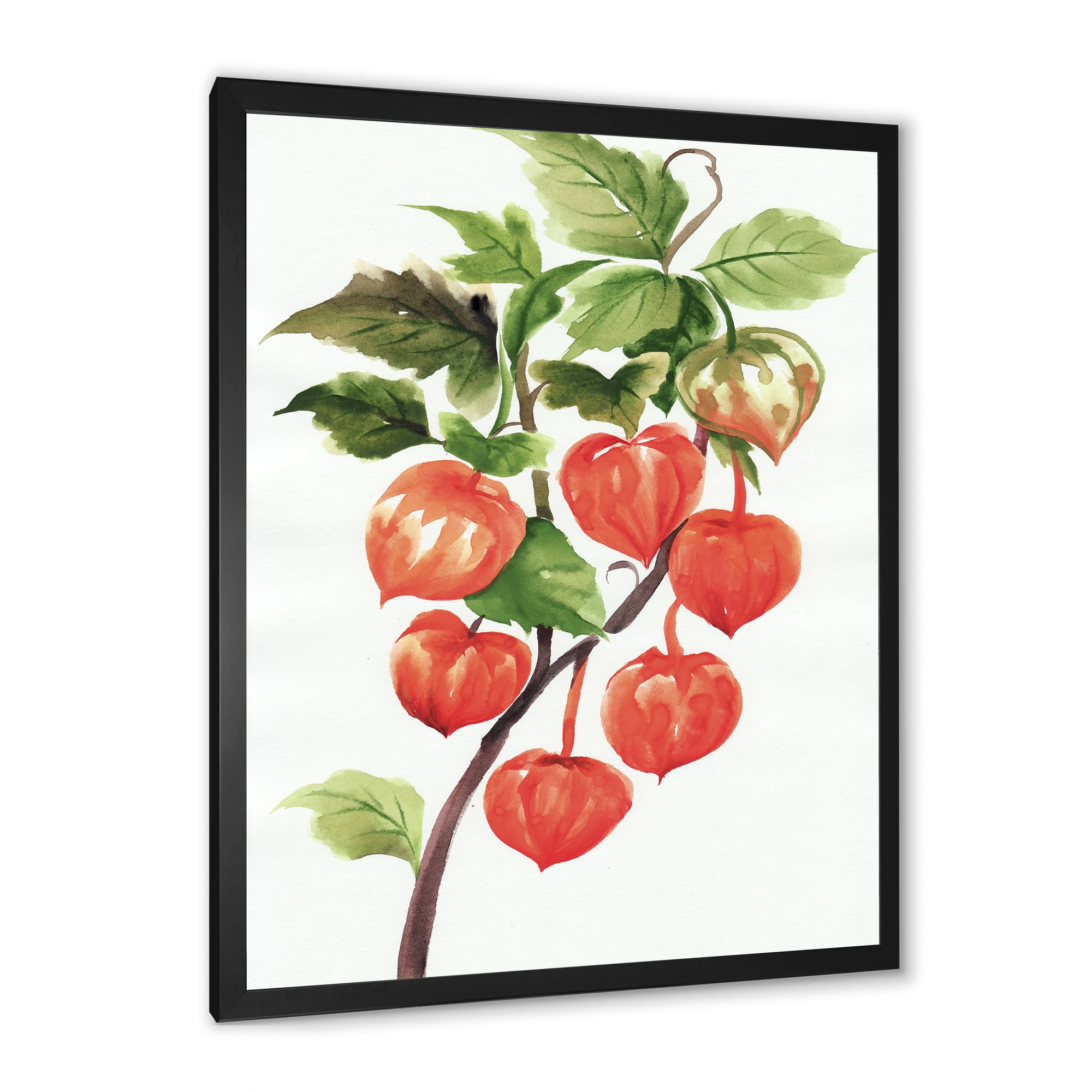 Designart 'A Red Physalis Branch' Traditional Framed Art Print
