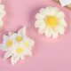 thumbnail image 2 of Silicone Mold for DIY Daisy Flower Crafting Home Decor Candle Cup Accessory Tool, 2 of 5