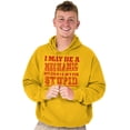 thumbnail image 4 of Mechanic Cant Fix Stupid Rude Honest Hoodie Hooded Sweatshirt Men Brisco Brands 2X, 4 of 6