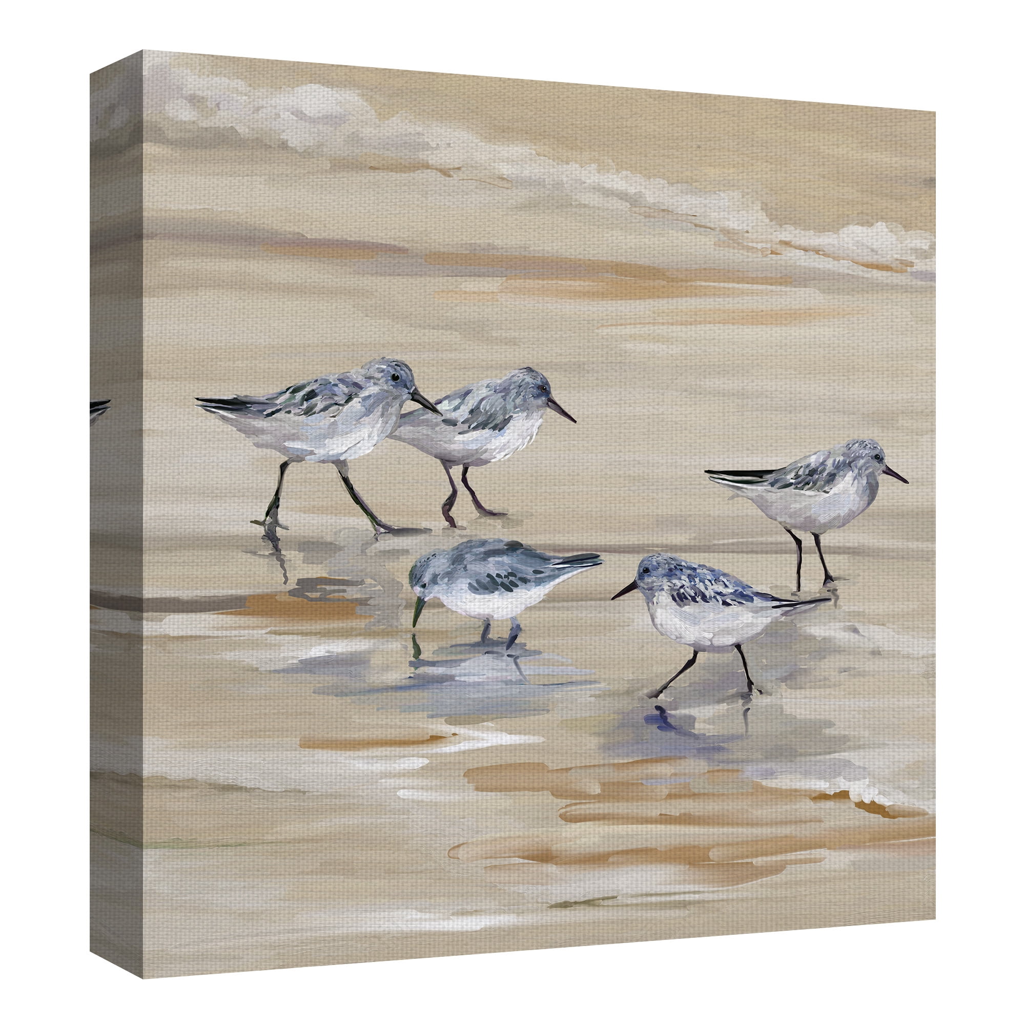 Masterpiece Art Gallery Sandpiper Beach II Amber by Studio Arts Canvas Art 24" x 24"