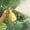 Yellow, variant on Pressurized Spray Bottle, Handheld Plant Garden Mister Sprayer, Continuous Pump Action Adjustable Fine Mist Nozzle Leak Resistant Bottle for Plant Lovers Homemakers Indoor Gardening
