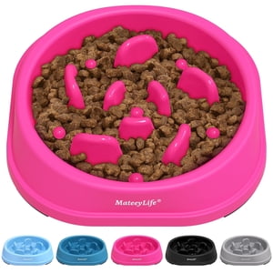 MateeyLife Slow Feeder Dog Bowl, Maze Pattern, Non-Slip