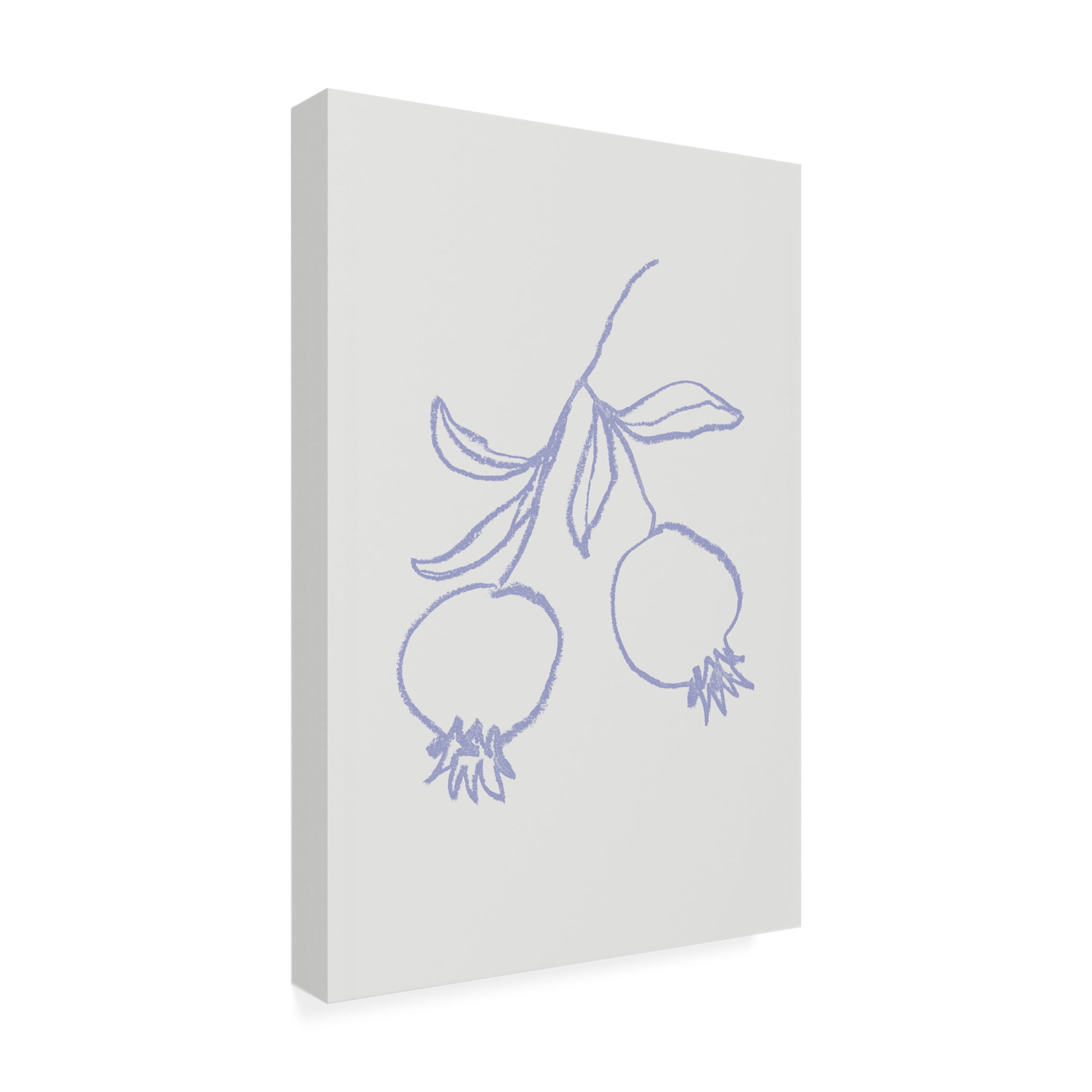 Trademark Fine Art Pictufy Studio Pomegranate Lilac Canvas Wall Art