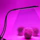 thumbnail image 2 of Luz de planta LED ANGGREK Doble cabeza PC carcasa de aleación de aluminio Cuello de ganso giratoria 360 grados, 2 of 8