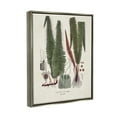 thumbnail image 4 of Stupell Industries Fern Latin Study Botanical & Floral Painting Gray Floater Framed Canvas Art Print Wall Art, 25 x 31, 4 of 10