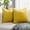 Lemon Yellow, variant on Nmkwnr Set of 2 Solid Color Throw Pillow Covers Decorative Square Velvet Soft Pillow Case Cushion Cover for Living Room Bed Couch Bedroom Sofa, 16"x16"