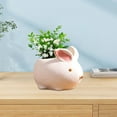 thumbnail image 7 of dajkiuy Small Ceramic Succulent Pots - 3.15" Cartoon Animal Shape Planters Indoor & Outdoor with Drain Holes for Succulents, and Herbs (Rabbit), 7 of 7
