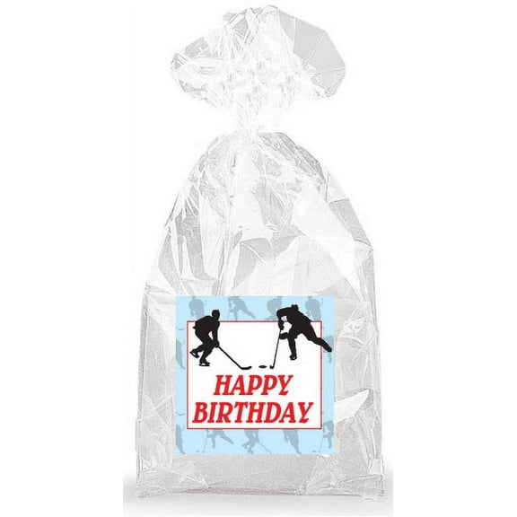 Hockey Happy Birthday Party Favor Bags with Ties - 12pack