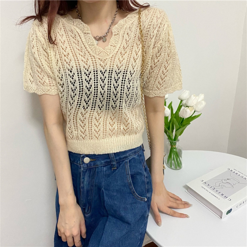 Women's Casual Sweaters Solid Sexy V-Neck Crochet Knitted Pullover