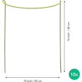 thumbnail image 4 of Kit of 10 Plant Stakes - Supports for Climbing Plants and Flowers - Green Stake - Help Your Plants Grow - Garden Tomato Stakes - Stakes for Hydrangeas, Peonies, Perennials and More, 4 of 5