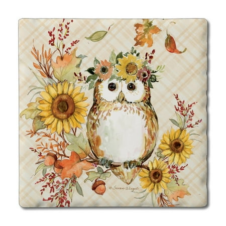 

Thirstystone Friendly Owl 4-Pack Tumbled Tile Coasters